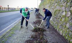 Giresun Belediyesi Ekipleri Sahada: Şehir Güzelleşiyor!