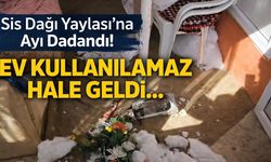 Sis Dağı Yaylası'na Ayı Dadandı! Ev İçinde Eşyalar Kullanılamaz Hale Geldi