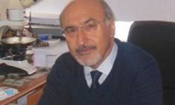 Trabzon'da Prof. Bektaş Uyardı: Dolgu Alanda Kayma Hızlandı