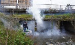 Rize’de Sivrisinek Larvası İçin İlaçlama Başladı