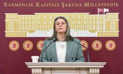 Trabzon'da Sibel Suiçmez'den Kültür Merkezi Tepkisi