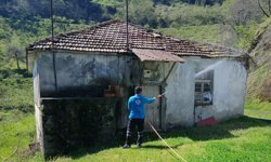 Trabzon’da Fındığın Düşmanına Büyük Kuşatma! 10 Ekip Sahada