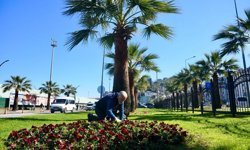 Giresun'da Belediye Çalışmaları Hız Kesmiyor