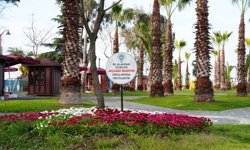 Akçaabat’ın Çiçekleri Kendi Seralarında Yetişiyor