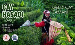 Of’ta Çay Heyecanı Başlıyor! 15 Mayıs’ta Büyük Açılış