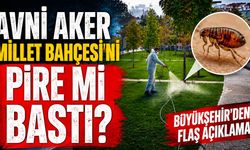 Avni Aker Millet Bahçesi'ni Pire mi Bastı? Büyükşehir'den Flaş Açıklama