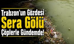 Trabzon'un Gözdesi Sera Gölü Çöplerle Gündemde