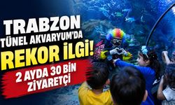 Trabzon Tünel Akvaryum'da Rekor İlgi! 2 Ayda 30 Bin Ziyaretçi