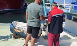 Trabzon'da Deniz Salyangozu Avcılığı İçin Kritik İşlem!