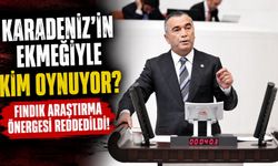 Karadeniz' in Ekmeğiyle Kim Oynuyor?