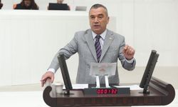 Trabzonlu Vekil Fındık Üreticisinin Sesi Oldu