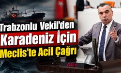 Trabzonlu Vekil'den Karadeniz İçin Meclis'te Acil Çağrı