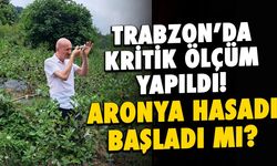 Trabzon'da Kritik Ölçüm Yapıldı! Aronya Hasadı Başladı mı?