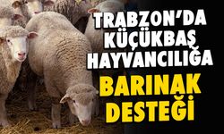 Trabzon’da Küçükbaş Hayvancılığa Portatif Barınak Desteği