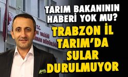 Bakanın Haberi Yok mu? Trabzon İl Tarım'da Sular Durulmuyor