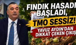 Fındık Hasadı Başladı, TMO Sessiz! Yavuz Aydın’dan Dikkat Çeken Çıkış