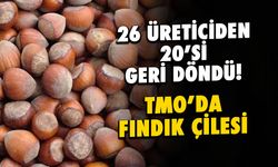 26 Üreticiden 20'si Geri Döndü! TMO'da Fındık Çilesi