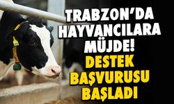 Trabzon'da Besicilere Müjde! Hayvancılık Desteği Başladı