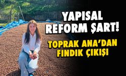 Toprak Ana'dan fındık çıkışı: Yapısal reform şart!