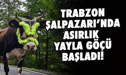 Trabzon Şalpazarı'nda Asırlık Yayla Göçü Başladı