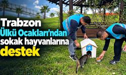Trabzon Ülkü Ocakları’ndan Sokak Hayvanlarına Destek