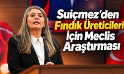 Suiçmez'den Fındık Üreticileri için Meclis Araştırması