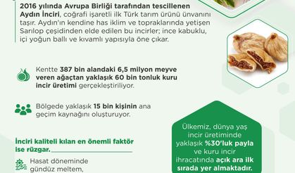 Türkiye’nin Avrupa Tescilli İlk Tarım Ürünü: Aydın İnciri!