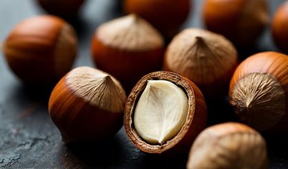 30 Ekim (Bugün) Fındık Fiyatları Ne Kadar ? Üretici Şaşkın..