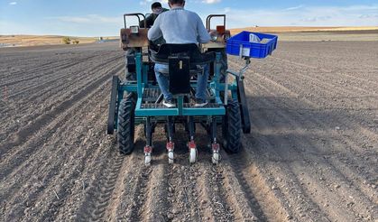 Bilimle Yeşeren Toprak: Kışlık Mercimekler Toprakla Buluştu