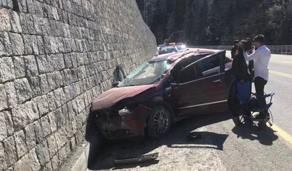 Ayder Yolunda Arı Paniği! Araç Duvara Çarptı
