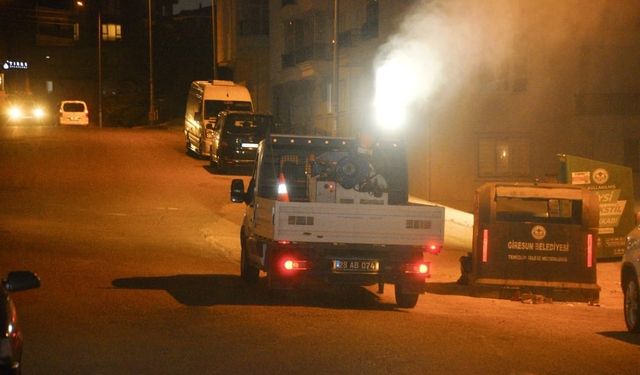 Sineklere Karşı Giresun Belediyesi İlaçlamaya Başladı