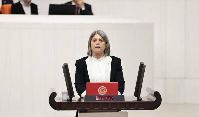 Sibel Suiçmez: Trabzon 3. Teşvik Bölgesini Hak Etmiyor