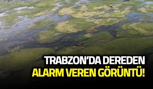 Ağasar Deresi'nden Alarm Veren Görüntü! Evde Durulmuyor...