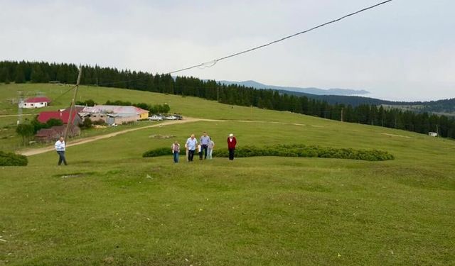 Lişer Yaylası Nerede? Trabzon’un Saklı Yaylasına Nasıl Gidilir?