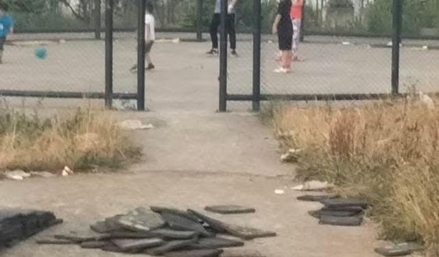 Trabzon Pelitli'de Yenileme Mağduriyet Getirdi