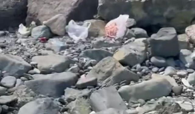 Mersin Sahili'nde Çevre Kirliliği Sosyal Medyada Gündem Oldu