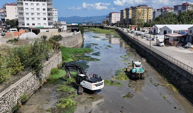 Haber Trabzon Görüntülemişti! Ağasar Deresi Temizleniyor...