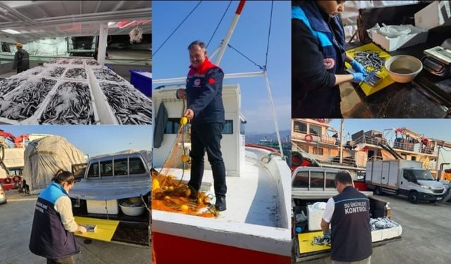 Trabzon’da Hamsi Avcılığına 37 Bin TL Ceza Yağdı