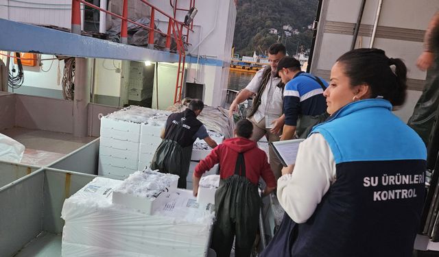 Trabzon’da hamsi avcılığına kota ve denetim kıskacı