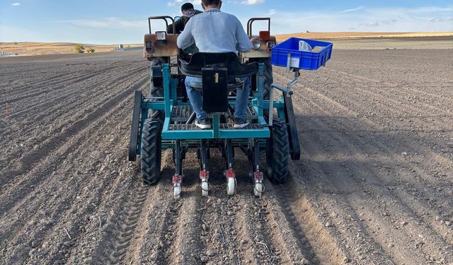 Bilimle Yeşeren Toprak: Kışlık Mercimekler Toprakla Buluştu
