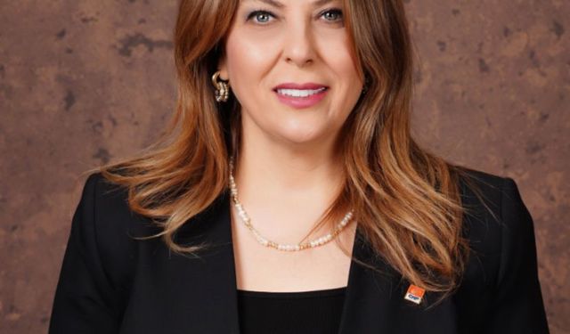 Giresun’da Dal-Çık Projesi Hayal Kırıklığı Yarattı!