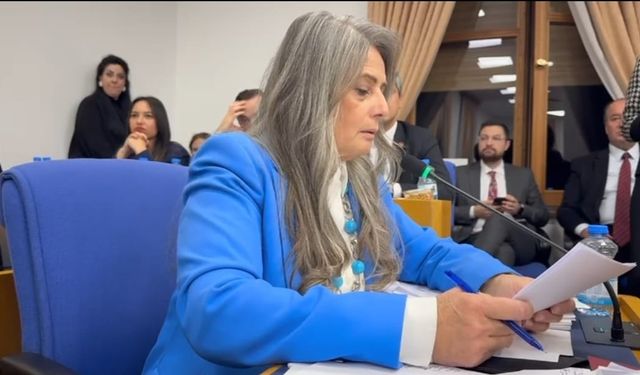 Kadına ve Çocuğa Yetersiz Bütçe! Suiçmez’ten Bakan’a Mesaj