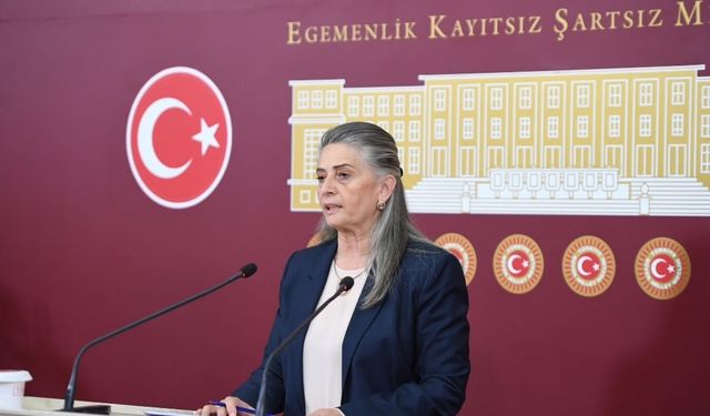 Sibel Suiçmez, Çocuk Hakları İçin Alarm Verdi