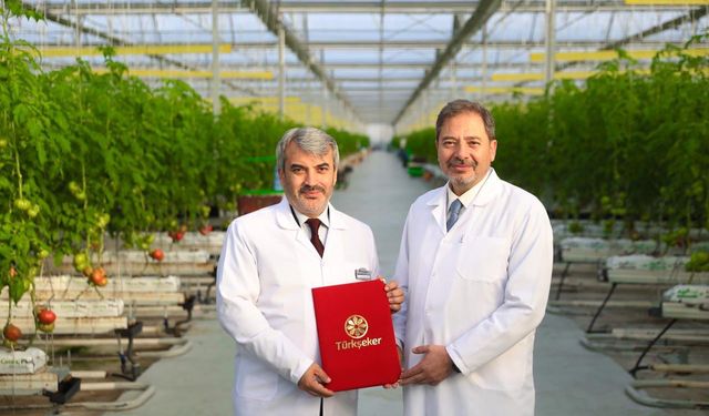 Yerli Tarımda Güç Birliği: TAGEM Ürünleri Marketlerde