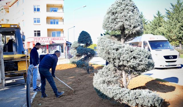 Giresun’da Park ve Yeşil Alanlarda Kış Bakımı Sürüyor
