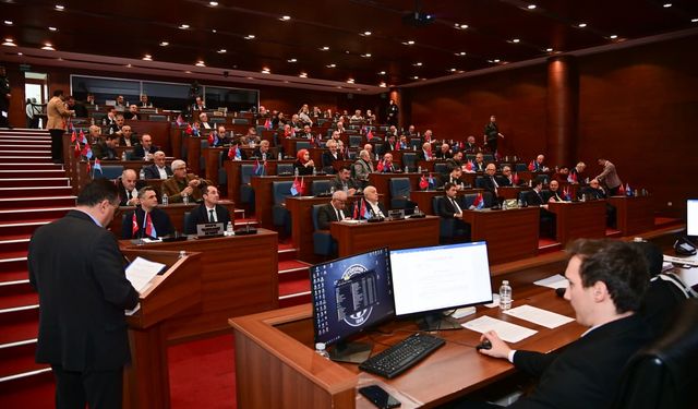 Trabzon’da sokak hayvanları için kritik adım: 17 ilçe güç birliği yaptı