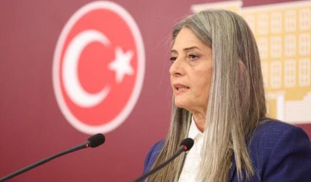 Sibel Suiçmez: AKP İnsan Haklarında Sınıfta Kaldı