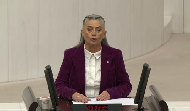 Sibel Suiçmez’den TBMM’de Tarihi “Utanıyorum” Konuşması!