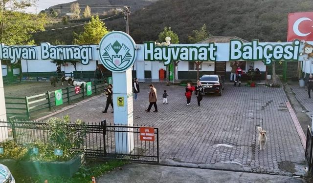 Giresun Belediyesi Hayvan Barınağı 2025’te Örnek Oldu