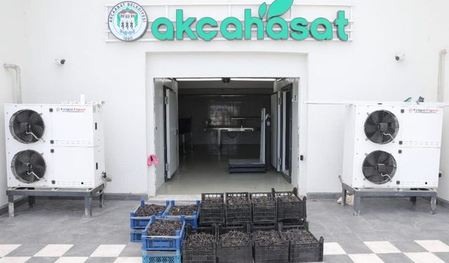 AKÇAHASAT Raflarda: Akçaabat Tarımda Yeni Bir Döneme Girdi